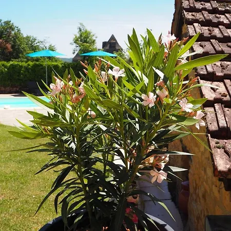 Le Clos De La Musardise - De Charme Avec Piscine Chauffée * Salignac Eyvigues